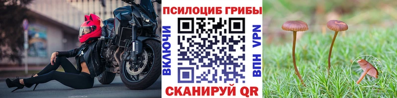 Псилоцибиновые грибы GOLDEN TEACHER  Добрянка 